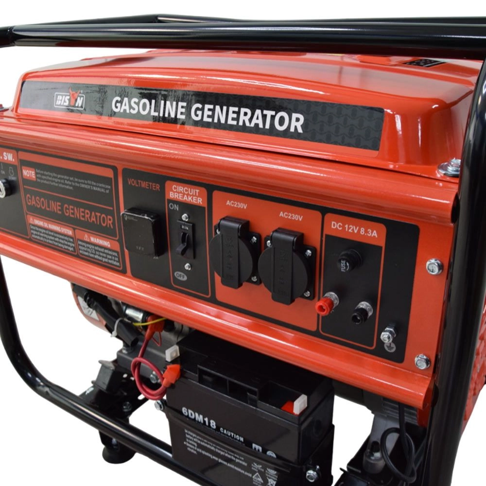 Бензиновий + газовий генератор BISON BS6500LE 5/5,5 кВт - Зображення 9